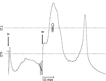 Kontinuierliche pH-Messung in der Atemhöhle von Hordeum vulgare cv. Ingrid